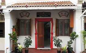 Gingerflower Boutique Hotel Malacca